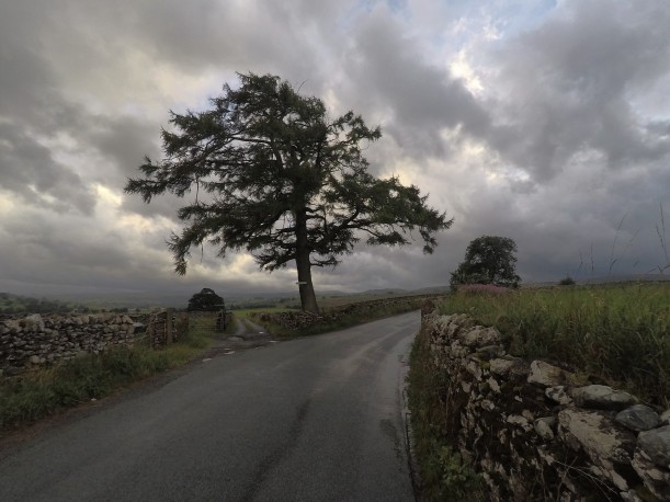 mature tree and stone walls of rural road in NW England