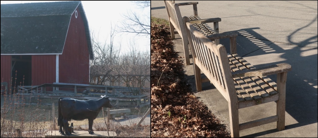 collage of bronze cow being milked with red barn behind; two wooden park benches casting shadows on paved walking path